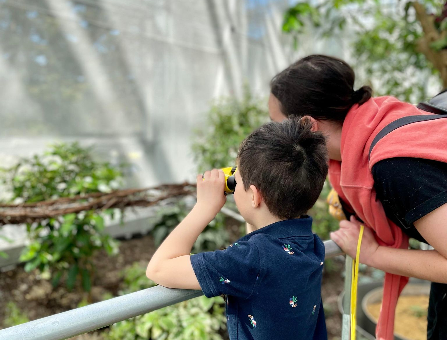 Semaine de relâche 2026 : 25 activités gratuites sur la Rive-Nord et alentours